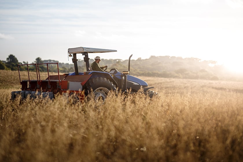 953577456 Tractor y conductor en campo de trigo
